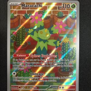 Maracachi 160/159 Aventures Ensemble