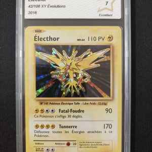 Electhor 42/108 Holo Évolutions PCA 7