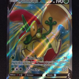 Pomdrapi V 143/163 Styles De Combat