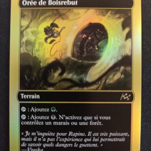 Orée De Boisrebut 0505 Foil Aetherdrift First-Place