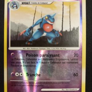 Coatox 31/100 Reverse Aube Majestueuse