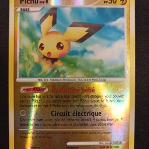 Pichu 45/100 Reverse Tempête