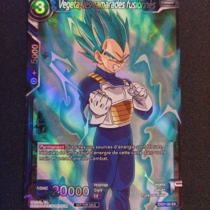 Végéta Les Camarades Fusionnés ex01-02