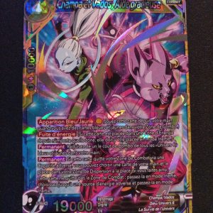 Champa Et Vados Aide Gracieuse bt7-119