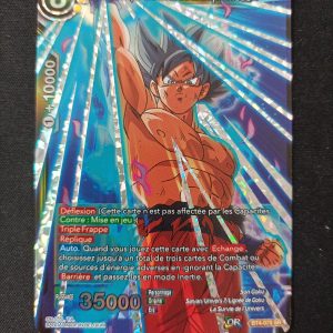 Son Goku Summum De La Puissance bt4-075