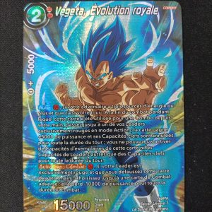 Végéta Évolution Royale eb1-07 ts02