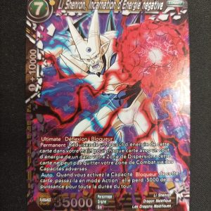 Li Shenron Incarnation d'Energie Négative p-232