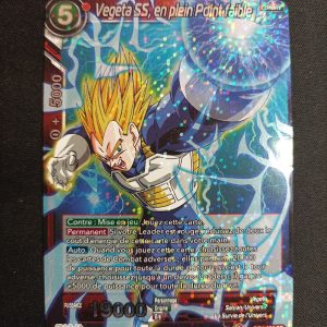 Végéta SS En Plein Point Faible db1-002