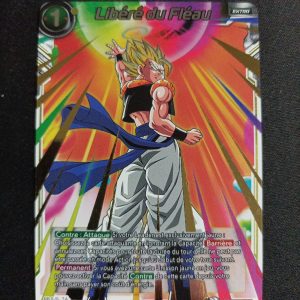 Libéré Du Fléau bt10-123