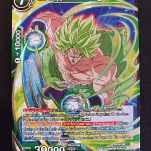 Broly Le Ravageur sd8-02