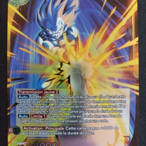 Végéta SS Guerrier Z bt17-084