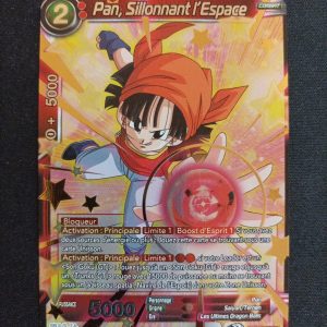 Pan Sillonnant l'Espace bt17-010