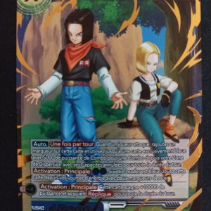 C-17 Et C-18 Travail d'Equipe bt17-033