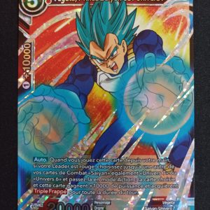 Végéta Prince Saiyan de L'Univers 7