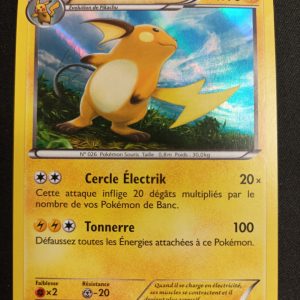 Raichu 43/146 Holo XY