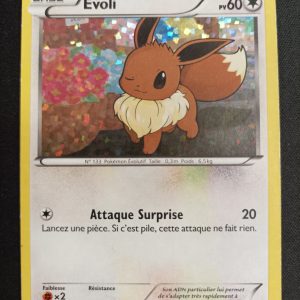 Evoli 12/12 Holo Macdonald 2013