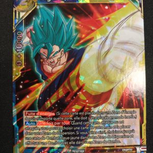 Vegetto Frappe Combinée p-133