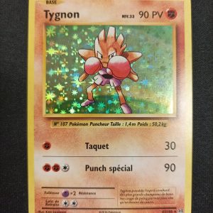 Tygnon 62/108 Holo Évolutions