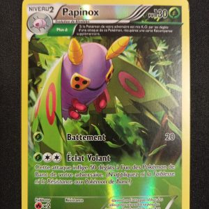 Papinox 8/108 Reverse Ciel Rugissant