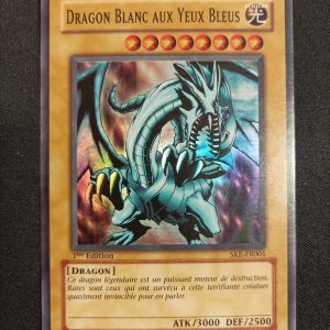 Dragon Blanc Aux Yeux Bleus ske-fr001