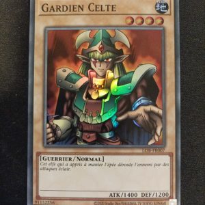 Gardien Celte lob-fr007 25Th