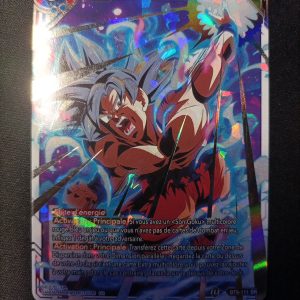 Coup Catastrophique bt9-111