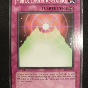 Mur De Lumière Révélatrice ast-fr050