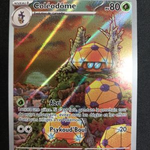 Coleodome 184/182 Faille Paradoxe