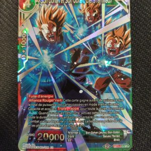 Son Gohan Et Son Goten Liens Familiaux bt7-113