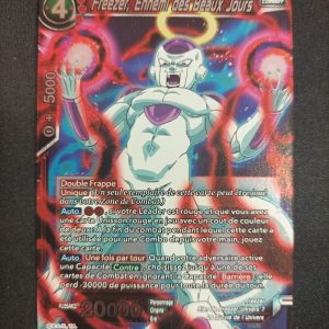 Freezer Ennemi Des Beaux Jours ex11-06