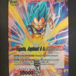 Végéta Aspirant A La Destruction ex11-01