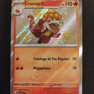 Crocogril svp 080 Promo Écarlate Et Violet