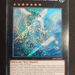 Chasma Maître Dragon Des Aurores alin-frp47