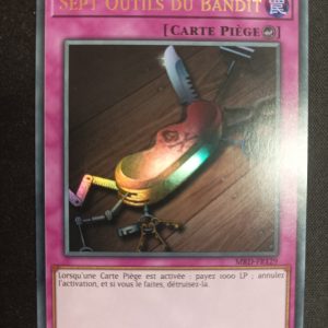 Sept Outils Du Bandit mrd-fr129 25th