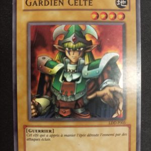 Gardien Celte ldd-f005