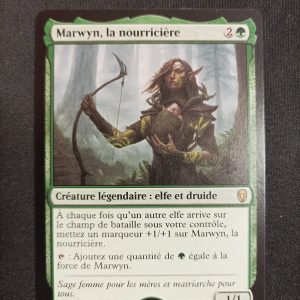 Marwyn La Nourricière M19