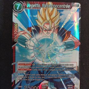 Vegetto Force Concentrée bt2-012