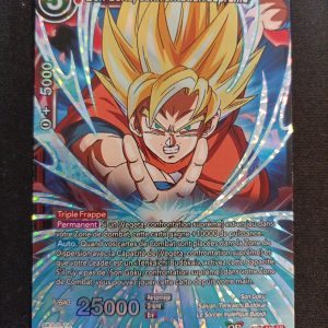 Son Goku Confrontation Suprême tb2-002