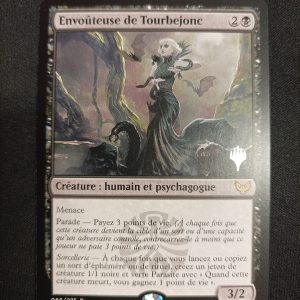 Envoûteuse De Tourbejonc Promo
