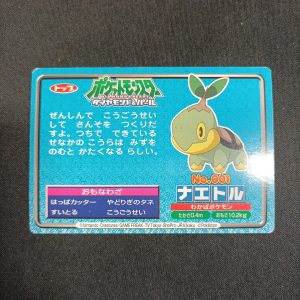 Advanced Generation Turtwig 001