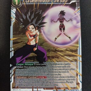 La Détermination d'Une Soeur bt15-058