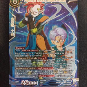 Tapion Et Trunks Respect Mutuel bt24-037