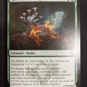 Gardien Du Bosquet La Tempête Des Dragons