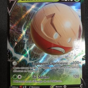 Électrode V swsh294