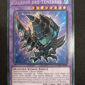 Paladin Des Ténèbres blmm-fr008