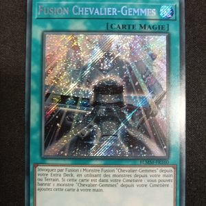 Fusion Chevalier-Gemmes blmm-fr160