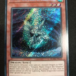 Lightning Maître Dragon Des Courants d'Air blmm-fr124