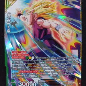 Son Gohan SS2 Victoire A La Pyrrhus xd3-08