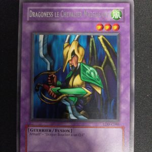 Dragoness Le Chevalier Malfaisant ldd-c086