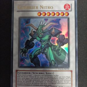Guerrier Nitro tdgs-fr039